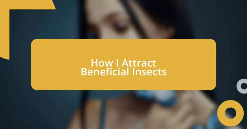 How I Attract Beneficial Insects
