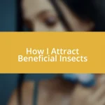 How I Attract Beneficial Insects