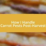How I Handle Carrot Pests Post-Harvest
