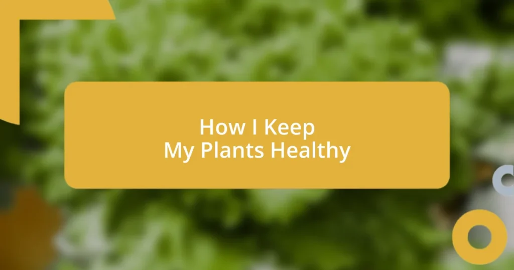 How I Keep My Plants Healthy