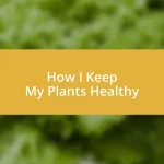 How I Keep My Plants Healthy