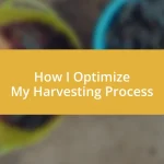 How I Optimize My Harvesting Process