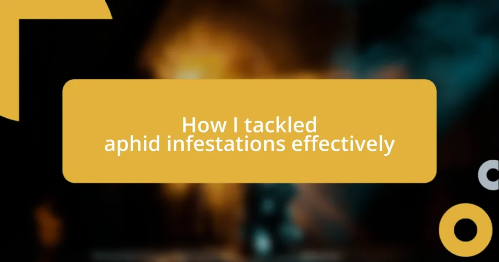 How I tackled aphid infestations effectively