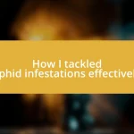 How I tackled aphid infestations effectively