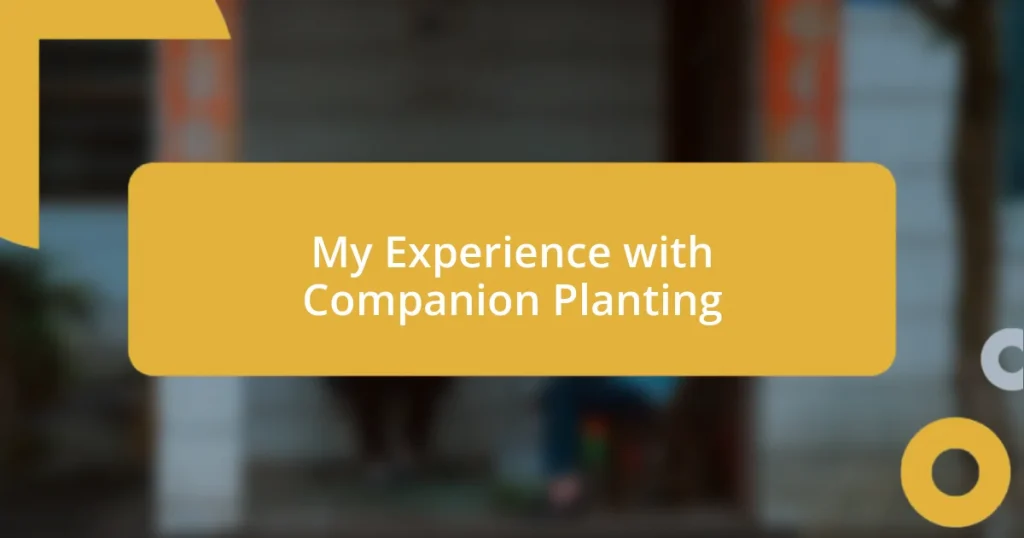 My Experience with Companion Planting