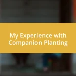 My Experience with Companion Planting