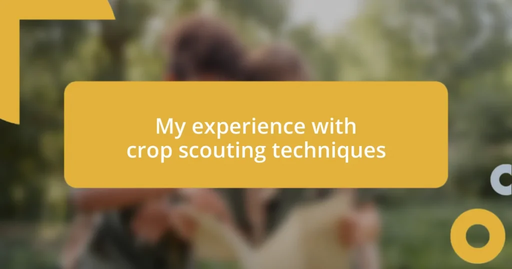 My experience with crop scouting techniques