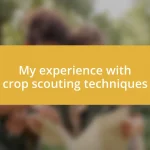 My experience with crop scouting techniques