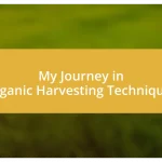 My Journey in Organic Harvesting Techniques