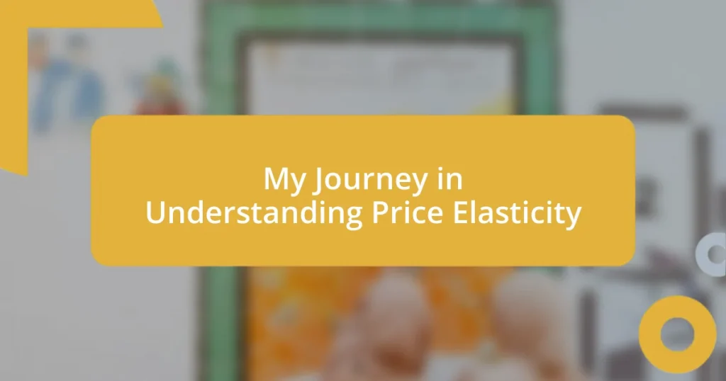 My Journey in Understanding Price Elasticity