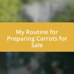 My Routine for Preparing Carrots for Sale