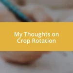 My Thoughts on Crop Rotation