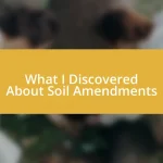 What I Discovered About Soil Amendments