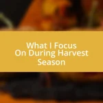 What I Focus On During Harvest Season
