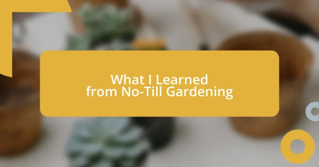 What I Learned from No-Till Gardening