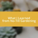 What I Learned from No-Till Gardening