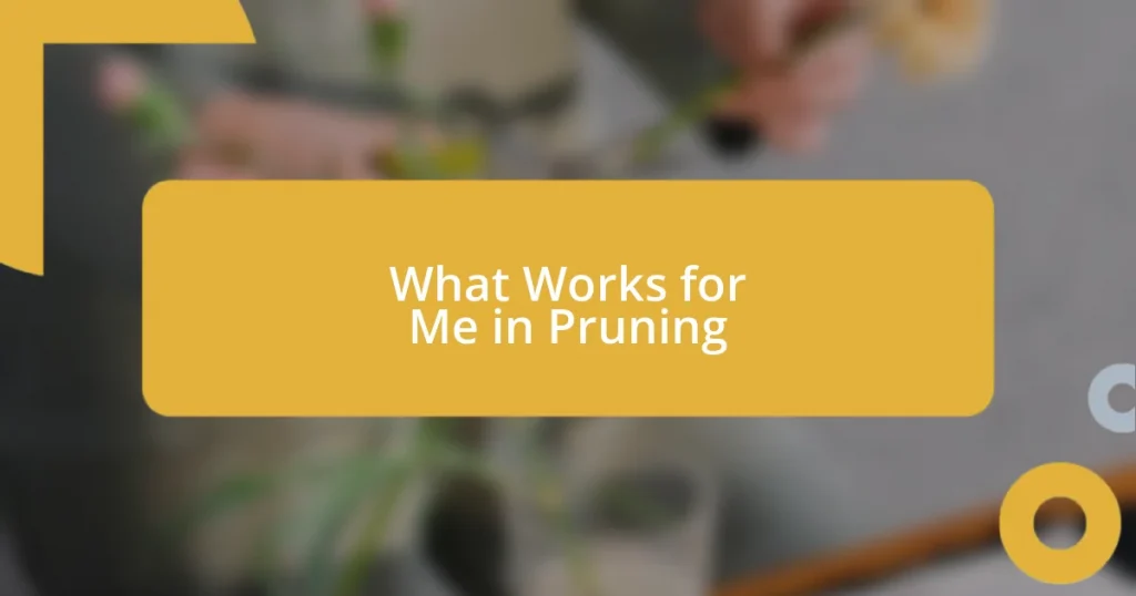 What Works for Me in Pruning