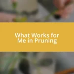 What Works for Me in Pruning